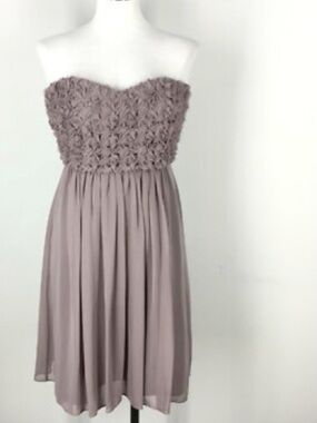 Calvin Klein Strapless Mauve Chiffon Dress NWOT
